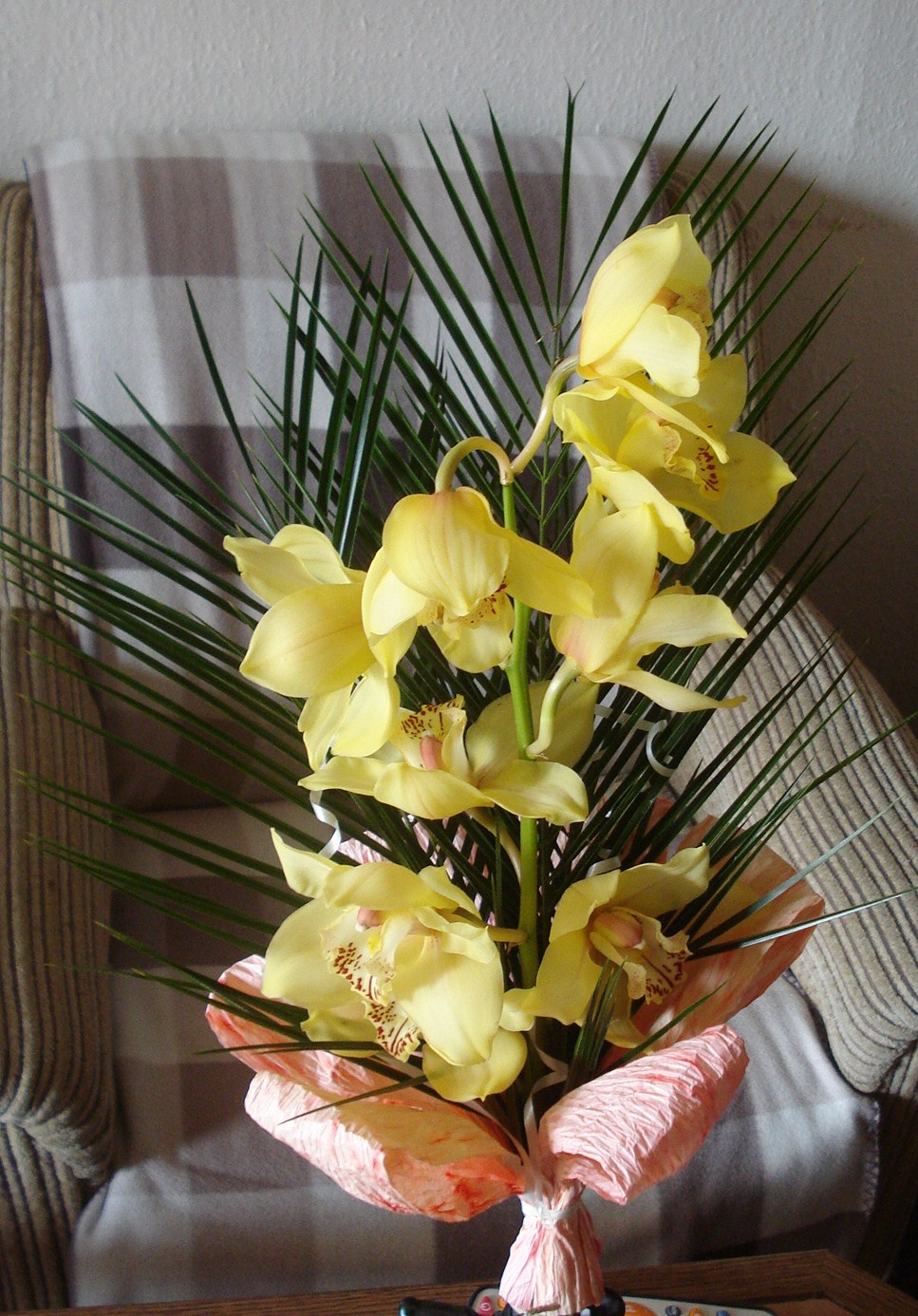 orchidej pro tetu