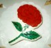 malovaná růže